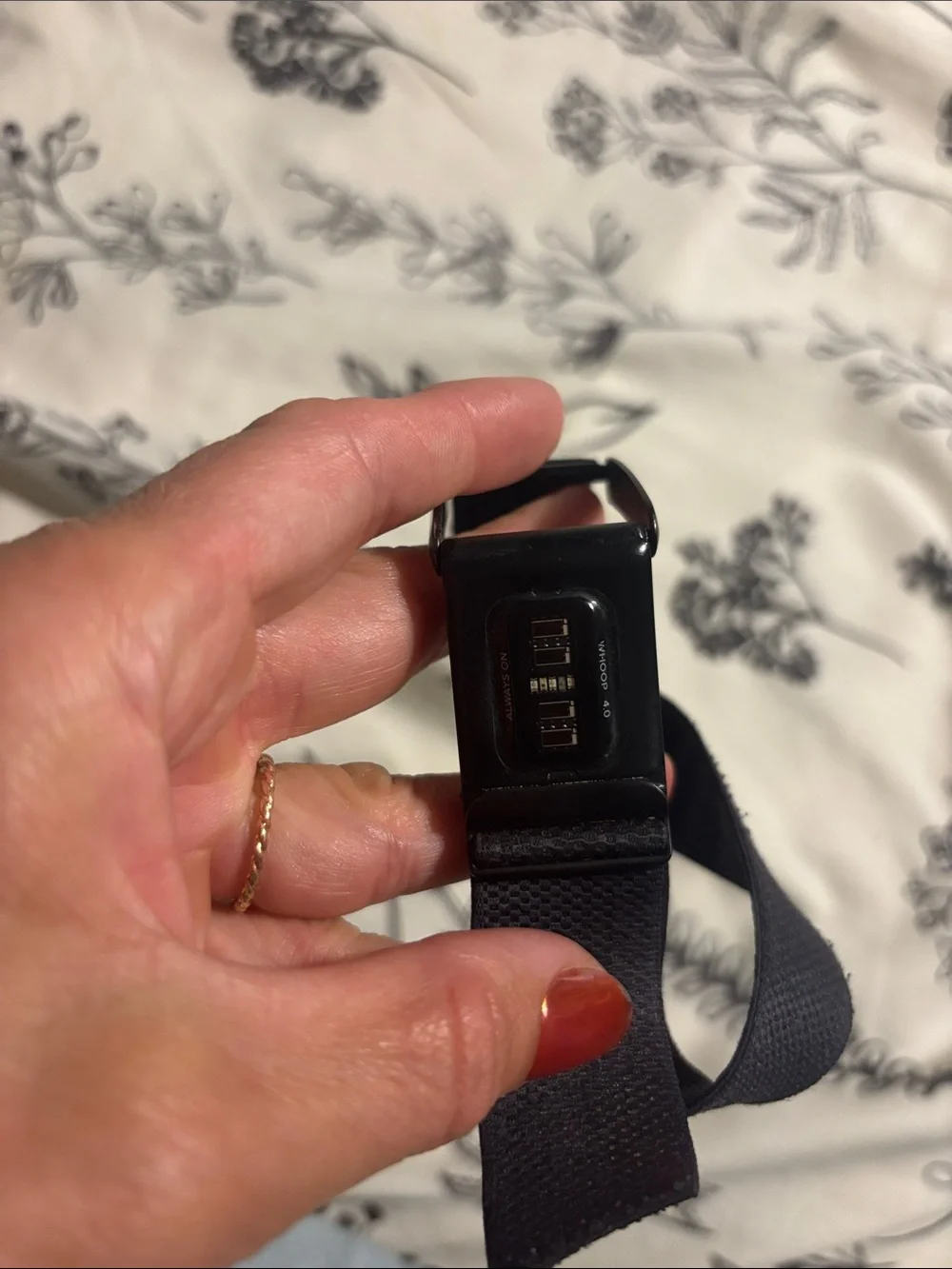 Whoop 4.0 Elastic Webbing Belt with Matte Buckle